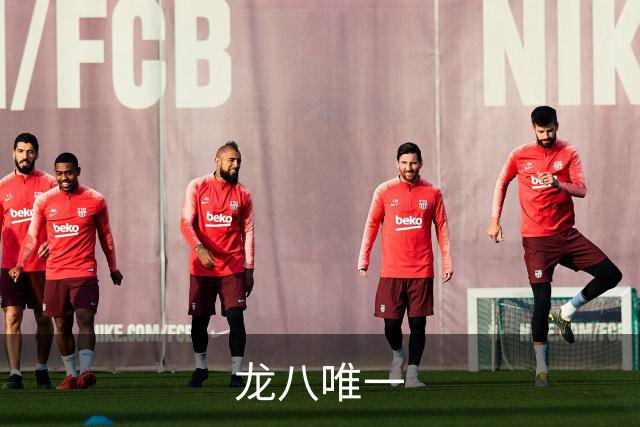 龙八唯一 公司介绍
